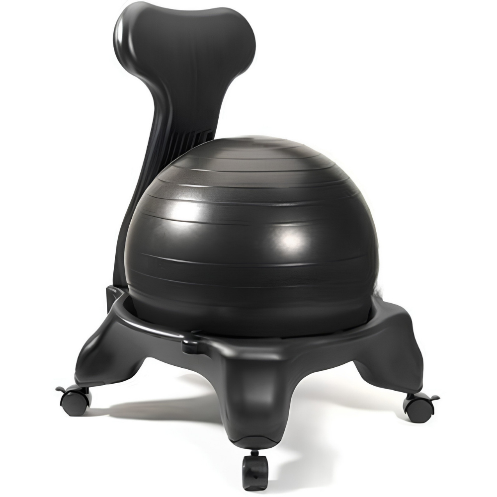 Balance Ball Chair