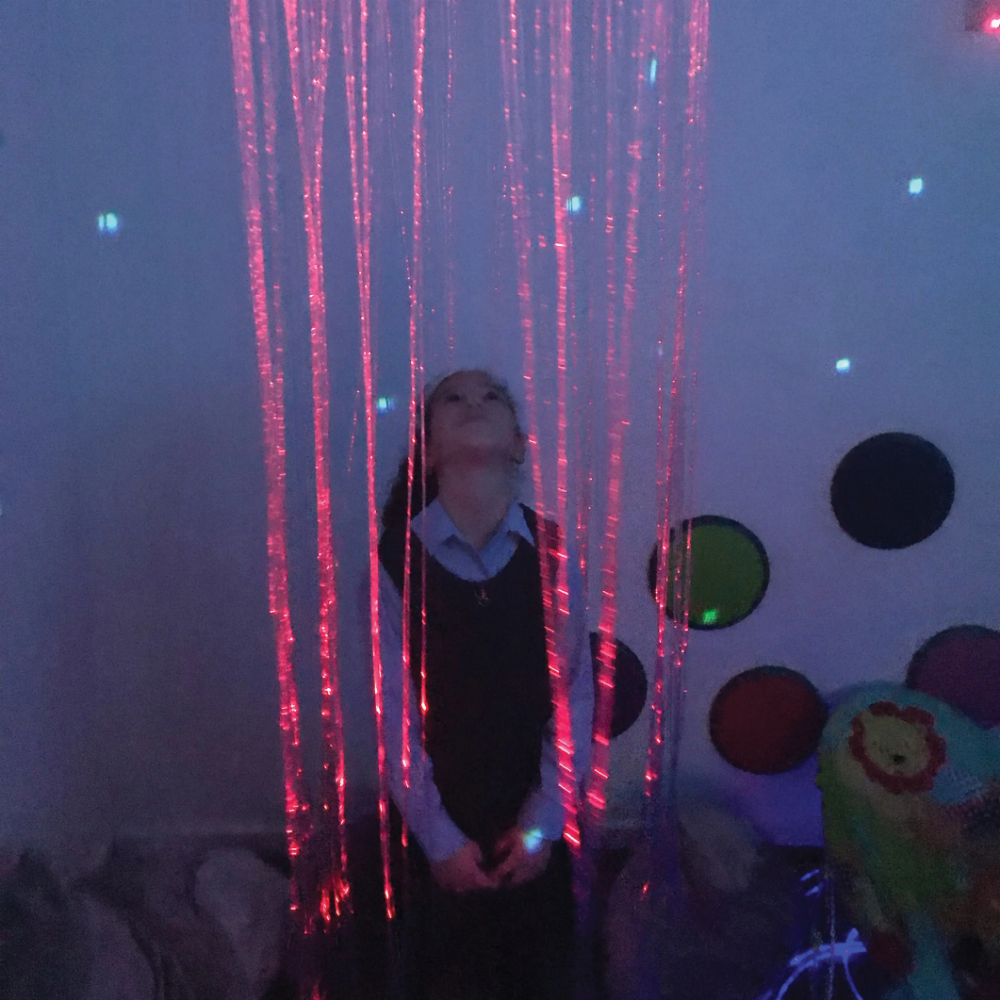 Sensory Fibre Optic Ring
