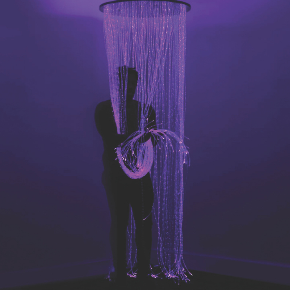 Sensory Fibre Optic Ring